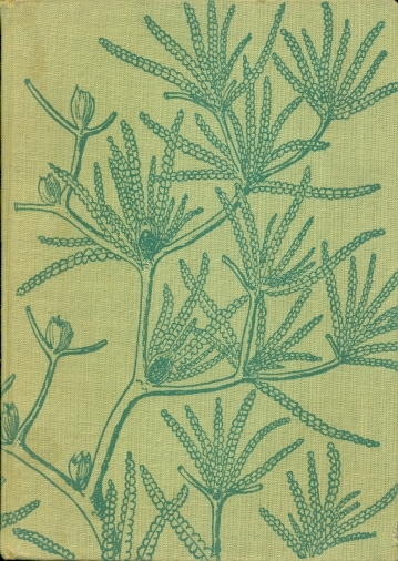 Zavátý život - Augusta Josef