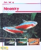 Neonky - Bydžovský Vladko
